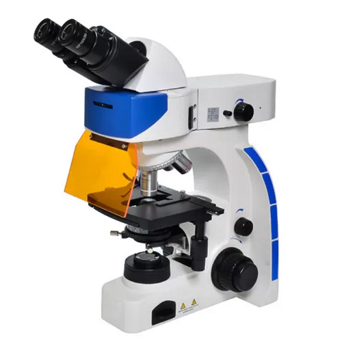 FM200 Upright Fluorescence Microscope